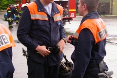 IMGP3161