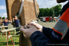 _MG_0361