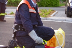 IMGP3124